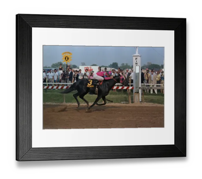 Framed Print : Alex Solis Riding Snow Chief Toward Finish