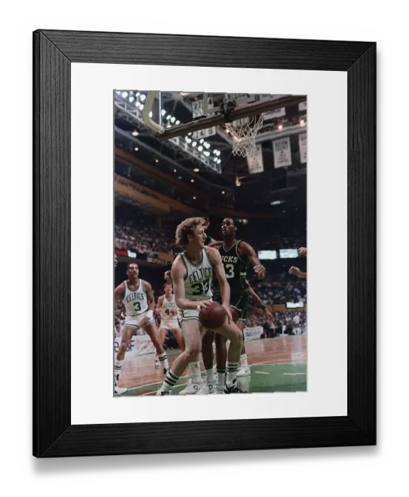 Framed Print : Larry Bird in Playoff Action Against the Milwaukee Bucks Framed Print : Larry Bird in Playoff Action Against the Milwaukee Bucks