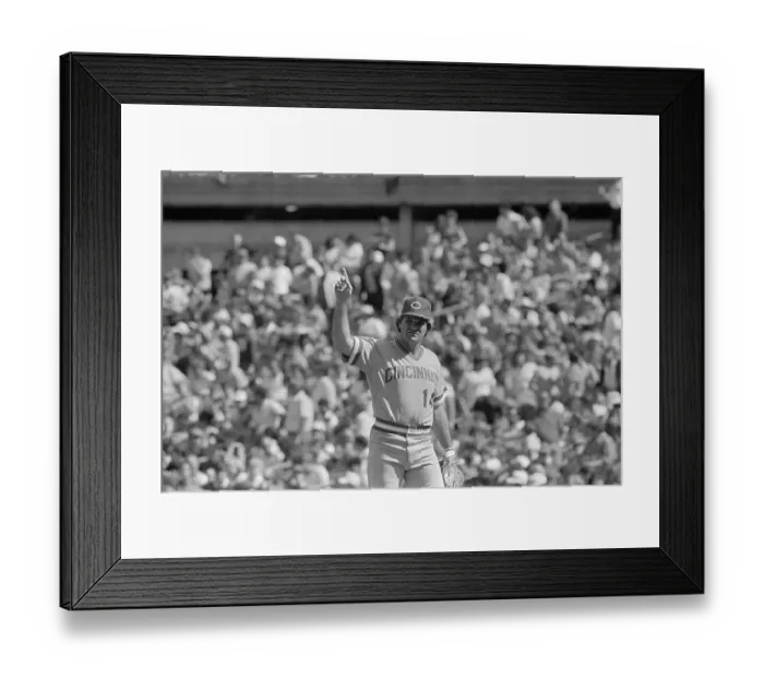 Framed Print : Portrait of Pete Rose Framed Print : Portrait of Pete Rose