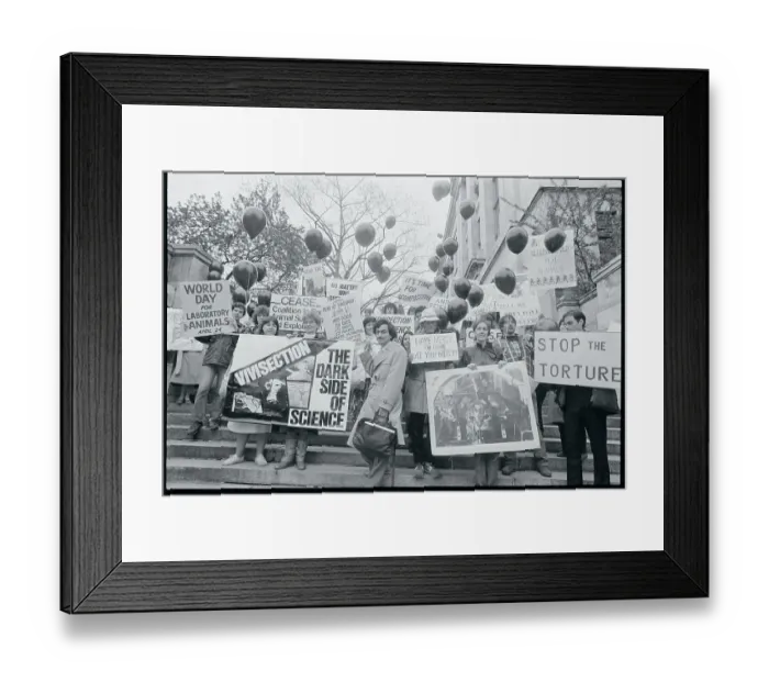 Framed Print : Protesters Displaying Placards Framed Print : Protesters Displaying Placards