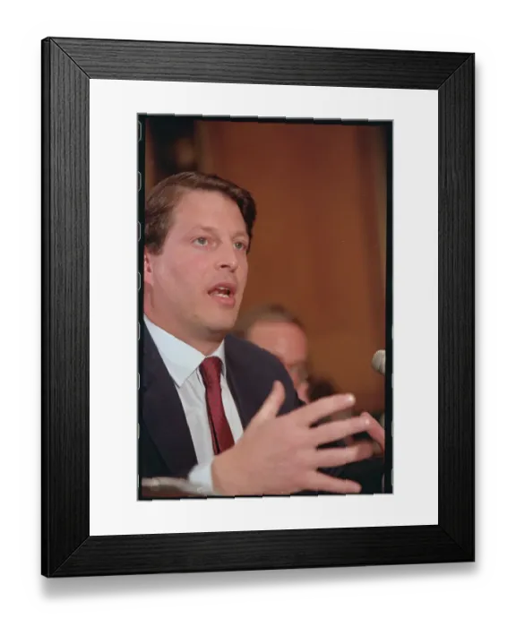 Framed Print : Portrait of Al Gore Framed Print : Portrait of Al Gore