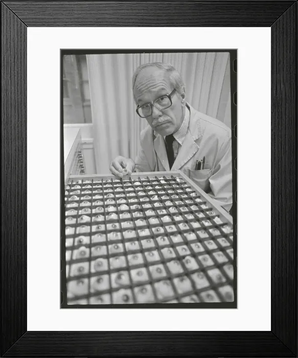 Framed Print : Ocularist Displaying Plastic Eyes Framed Print : Ocularist Displaying Plastic Eyes