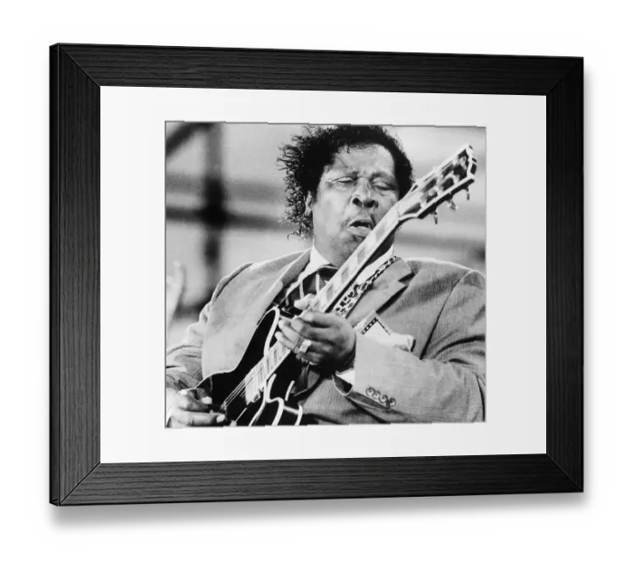 Framed Print : B.B. King Performing at Farm Aid Framed Print : B.B. King Performing at Farm Aid