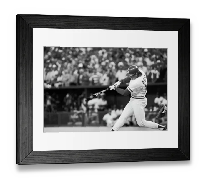 Framed Print : Pete Rose Breaking Ty Cobb's Hit Record Framed Print : Pete Rose Breaking Ty Cobb's Hit Record