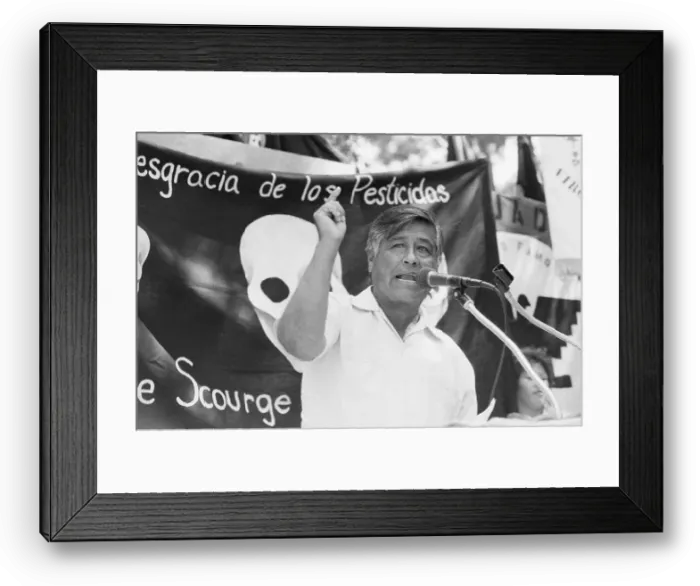 Framed Print : Cesar Chavez Speaks Before Banner Framed Print : Cesar Chavez Speaks Before Banner