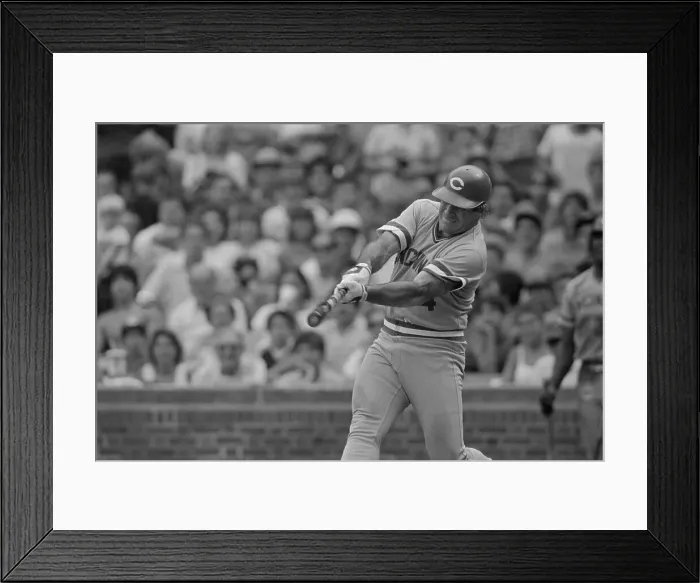 Framed Print : Pete Rose Getting Record-Tying Hit Framed Print : Pete Rose Getting Record-Tying Hit