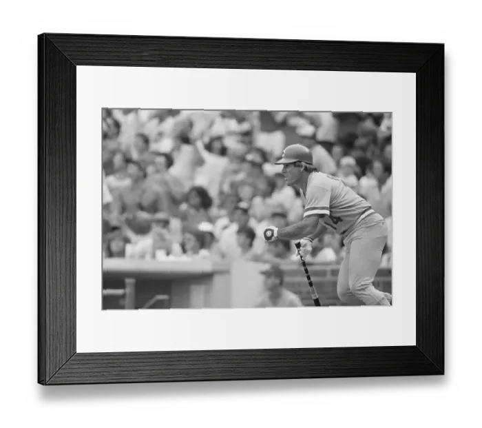 Framed Print : Pete Rose Just After Hitting Record Framed Print : Pete Rose Just After Hitting Record