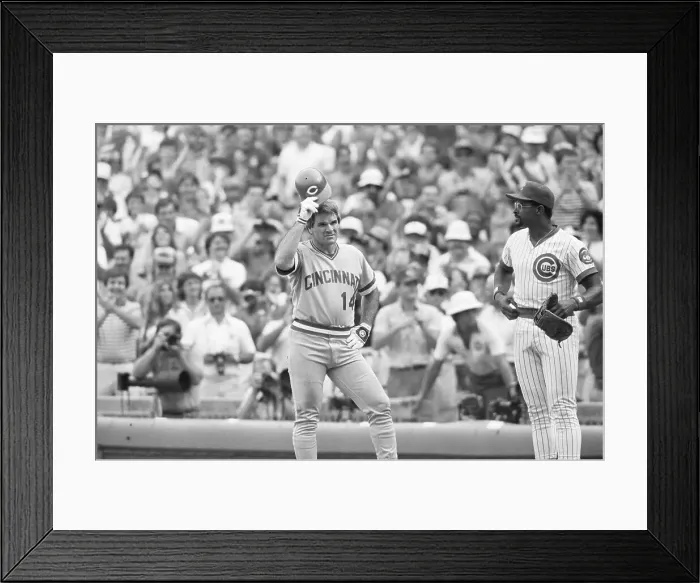 Framed Print : Pete Rose Tips Cap to Standing Ovation Framed Print : Pete Rose Tips Cap to Standing Ovation