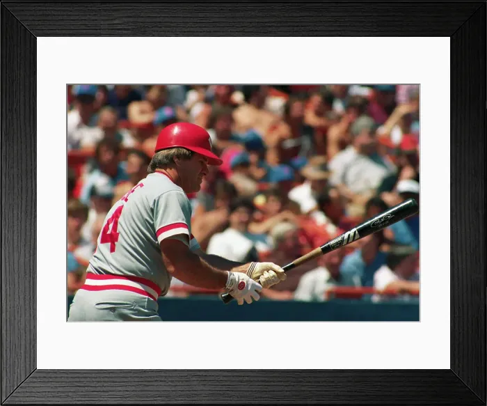 Framed Print : Profile of Pete Rose in Baseball Action Framed Print : Profile of Pete Rose in Baseball Action