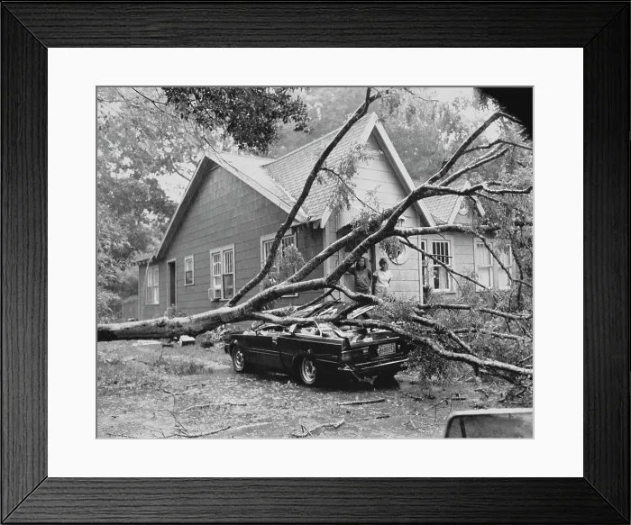 Framed Print : Damage from Hurricane Danny Framed Print : Damage from Hurricane Danny
