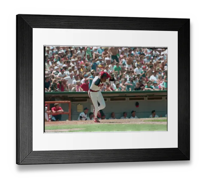 Framed Print : Rod Carew Watching Hit Framed Print : Rod Carew Watching Hit