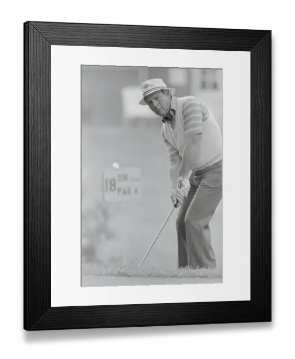 Framed Print : Arnold Palmer Chipping Golf Ball Framed Print : Arnold Palmer Chipping Golf Ball