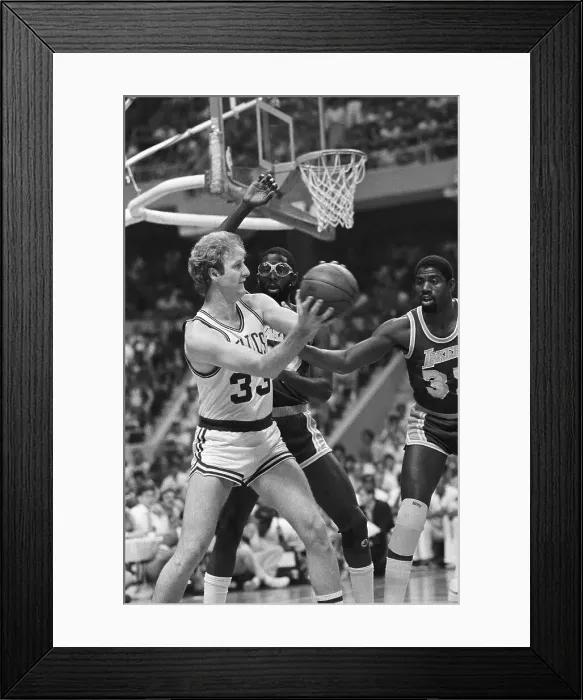 Framed Print : Larry Bird Playing Hard Framed Print : Larry Bird Playing Hard