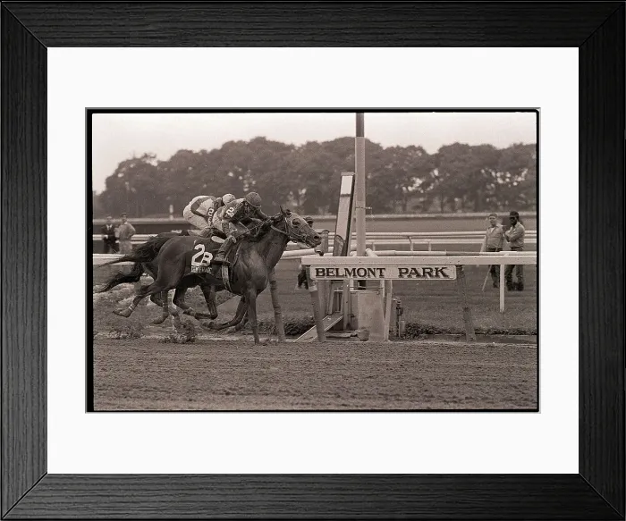 Framed Print : Horses Running in Belmont Stakes Framed Print : Horses Running in Belmont Stakes