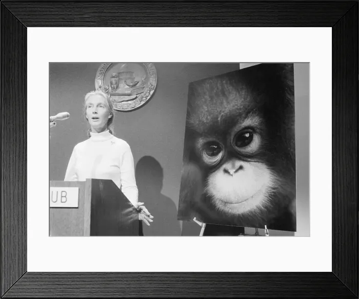 Framed Print : Jane Goodall Speaking Before Poster
