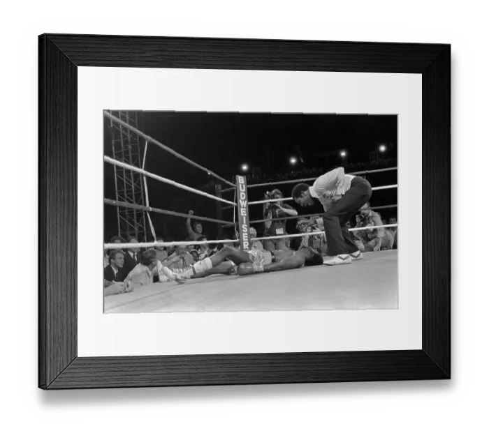 Framed Print : Referee Counting Over Thomas Hearns Framed Print : Referee Counting Over Thomas Hearns