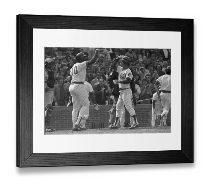 Framed Print : Cubs Ron Cey is Welcomed at the Plate Framed Print : Cubs Ron Cey is Welcomed at the Plate