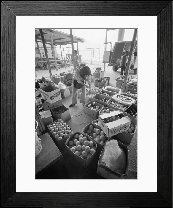Framed Print : Grocer Unloading Produce at Market Framed Print : Grocer Unloading Produce at Market
