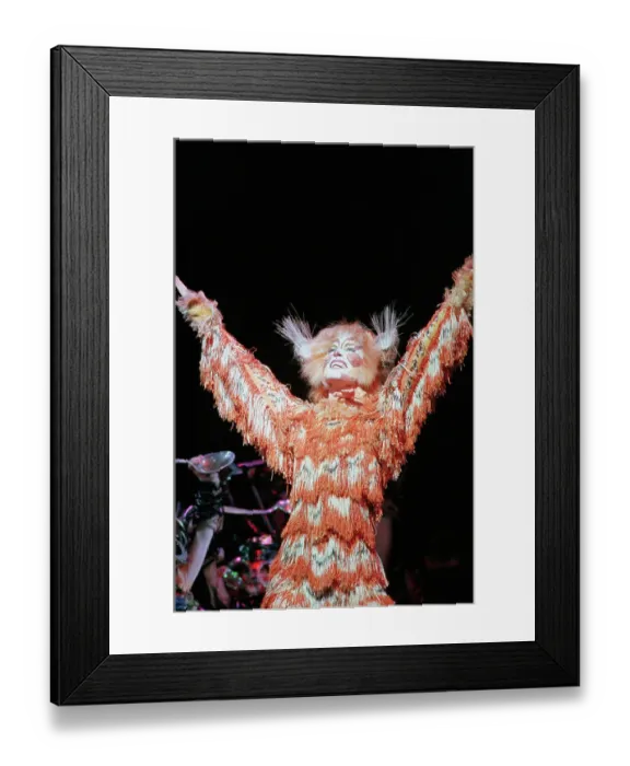 Framed Print : Character of Jennyanydots in Cats Framed Print : Character of Jennyanydots in Cats