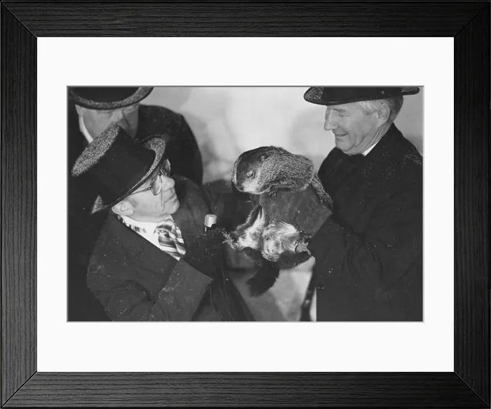 Framed Print : Groundhog Day Inspectors with Groundhog Framed Print : Groundhog Day Inspectors with Groundhog