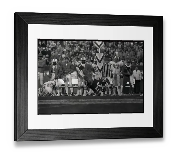 Framed Print : Roger Craig Landing with the Football Framed Print : Roger Craig Landing with the Football