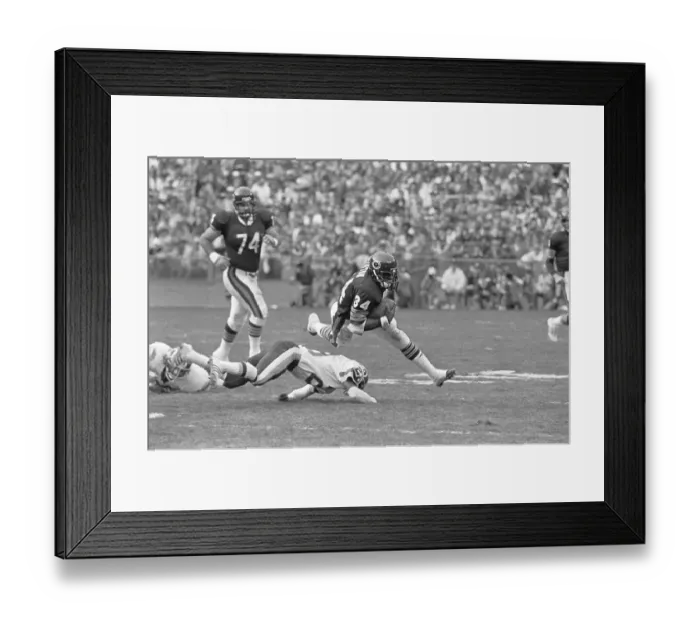 Framed Print : Chicago Bear Jumping Over Redskin Framed Print : Chicago Bear Jumping Over Redskin