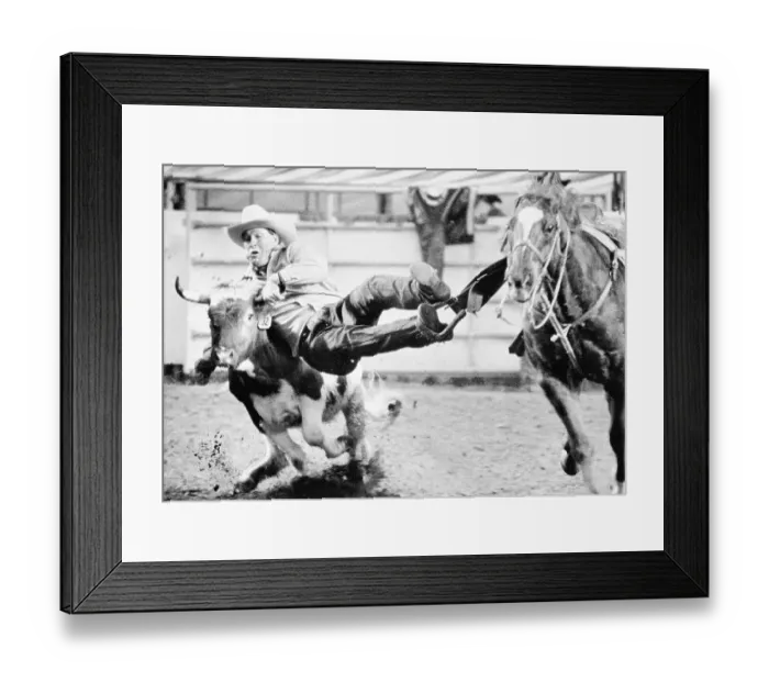 Framed Print : Paul Hughes Diving onto a Steer Framed Print : Paul Hughes Diving onto a Steer