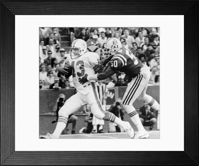 Framed Print : Dolphins versus Patriots Framed Print : Dolphins versus Patriots