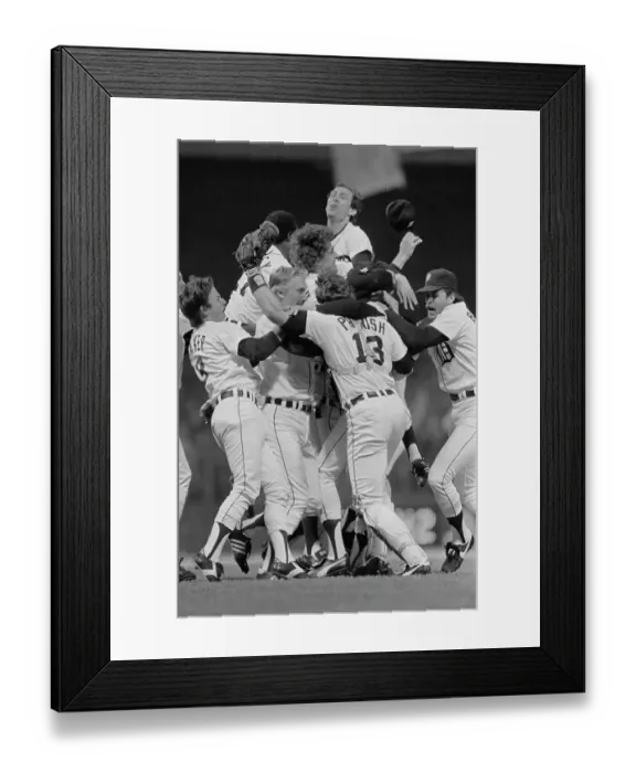 Framed Print : Tiger Teammates Celebrating Victory Framed Print : Tiger Teammates Celebrating Victory