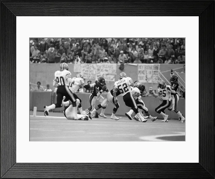 Framed Print : Walter Payton Chased by New Orleans Saints Tacklers Framed Print : Walter Payton Chased by New Orleans Saints Tacklers