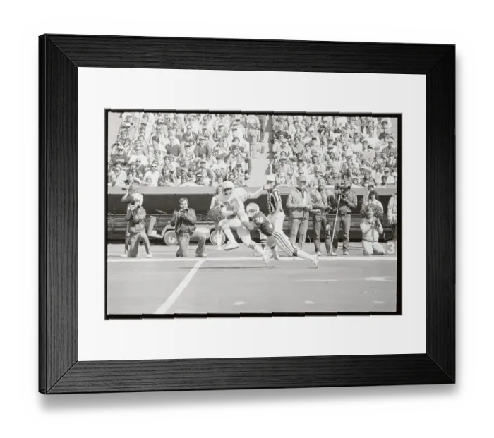Framed Print : Dolphins and Cardinals in Football Action Framed Print : Dolphins and Cardinals in Football Action