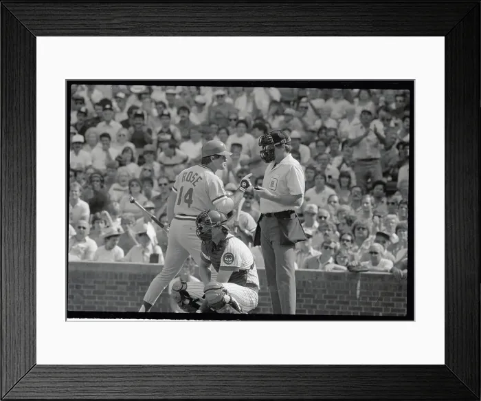 Framed Print : Pete Rose Arguing with Home Plate Umpire Framed Print : Pete Rose Arguing with Home Plate Umpire