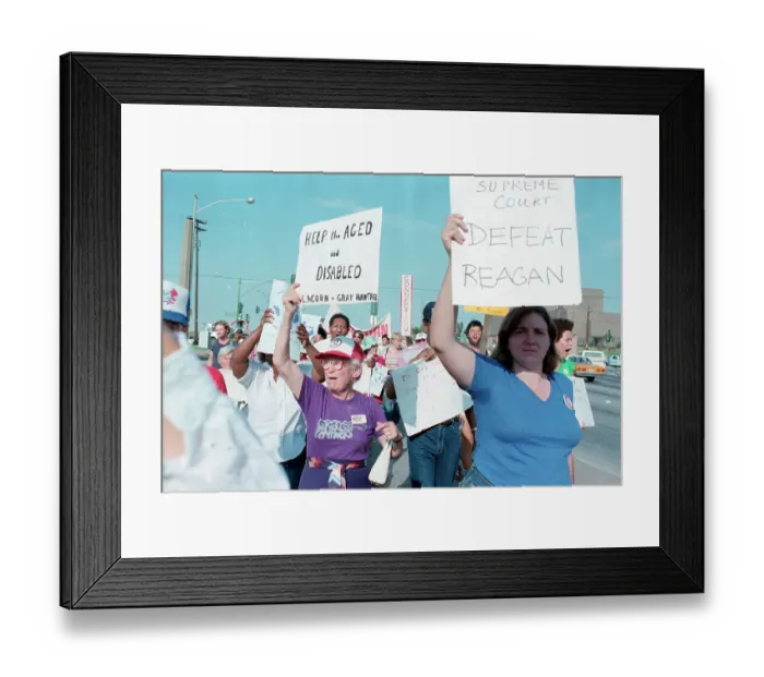 Framed Print : Grey Panthers Marching on Highway Framed Print : Grey Panthers Marching on Highway