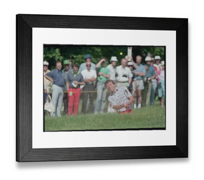 Framed Print : Crowd Gazing Towards Hale Irwin During Golf Action Framed Print : Crowd Gazing Towards Hale Irwin During Golf Action