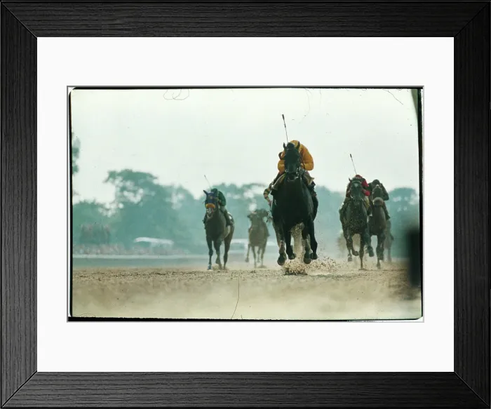Framed Print : Belmont Stakes Horse Race in Action Framed Print : Belmont Stakes Horse Race in Action
