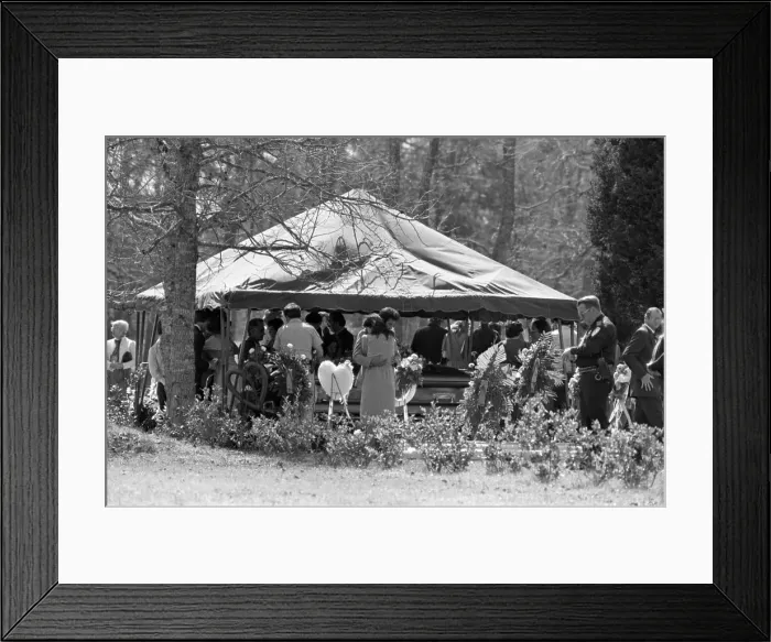 Framed Print : David Vetter Framed Print : David Vetter