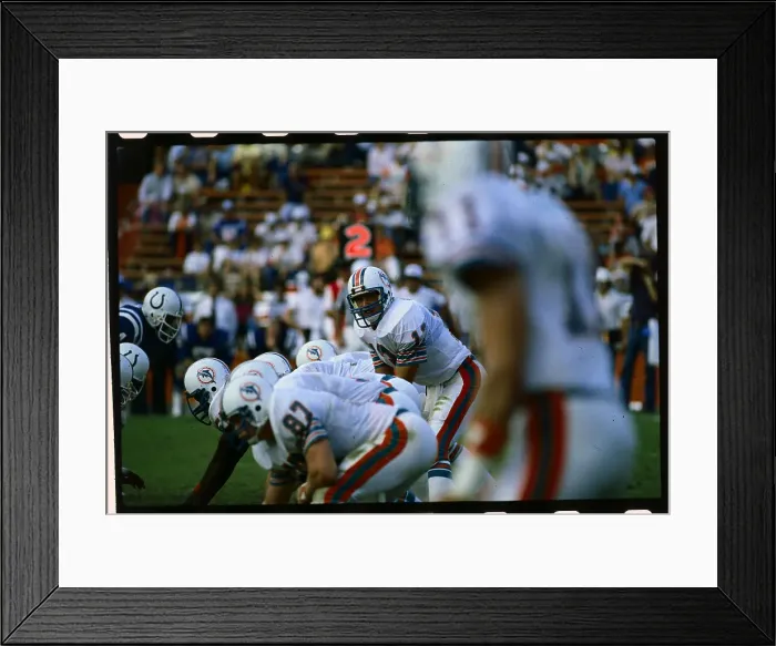 Framed Print : Dan Marino Calling Signals During Game Framed Print : Dan Marino Calling Signals During Game