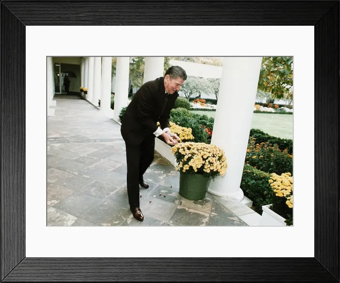 Framed Print : Ronald Reagan Feeding Unseen Squirrels Framed Print : Ronald Reagan Feeding Unseen Squirrels