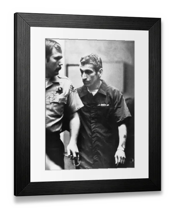 Framed Print : Angelo Buono