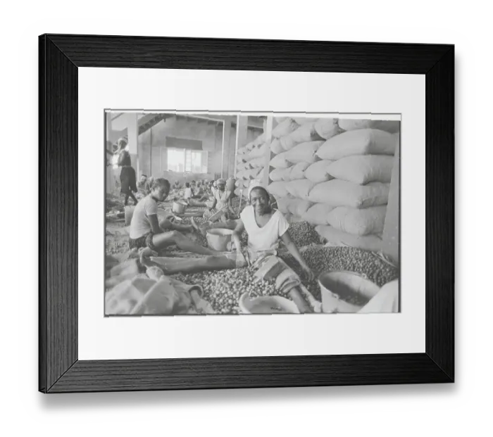 Framed Print : Grenadan Women Working in Factory Framed Print : Grenadan Women Working in Factory