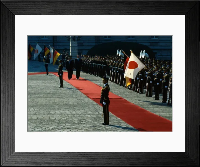 Framed Print : Helmut Kohl Reviewing Troops Framed Print : Helmut Kohl Reviewing Troops