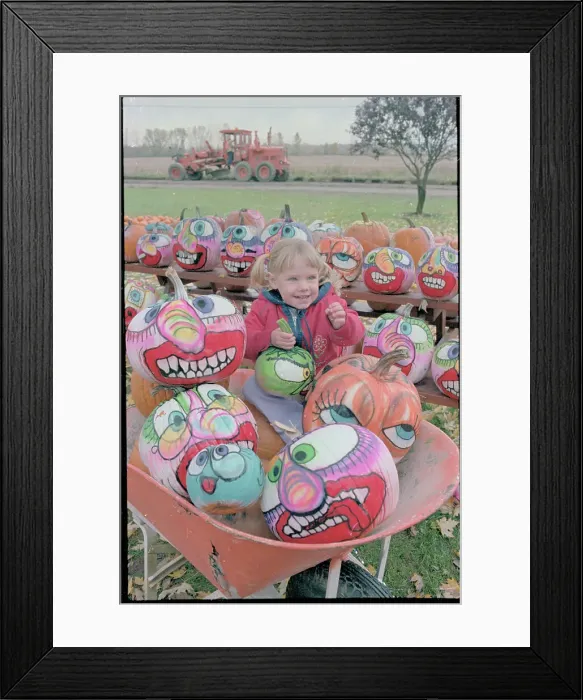 Framed Print : Child with Painted Pumpkins Framed Print : Child with Painted Pumpkins