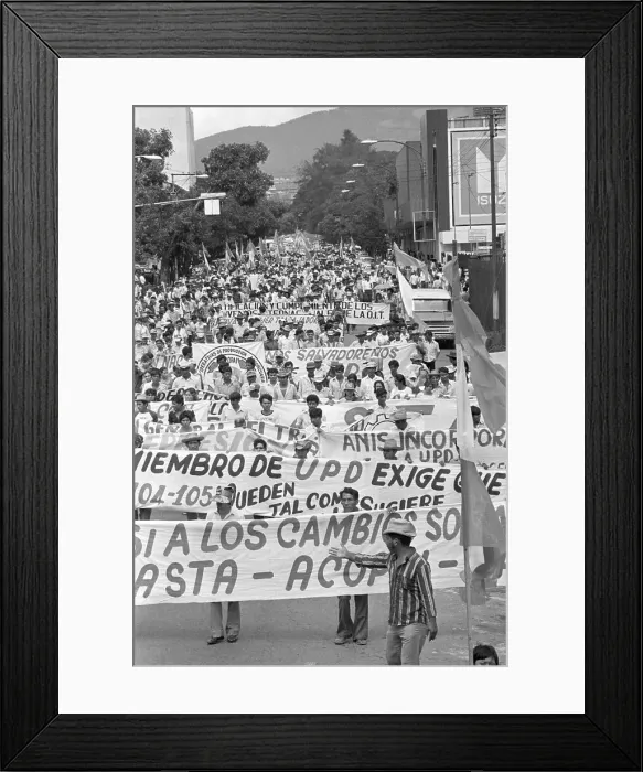 Framed Print : Crowds Marching with Banners Framed Print : Crowds Marching with Banners