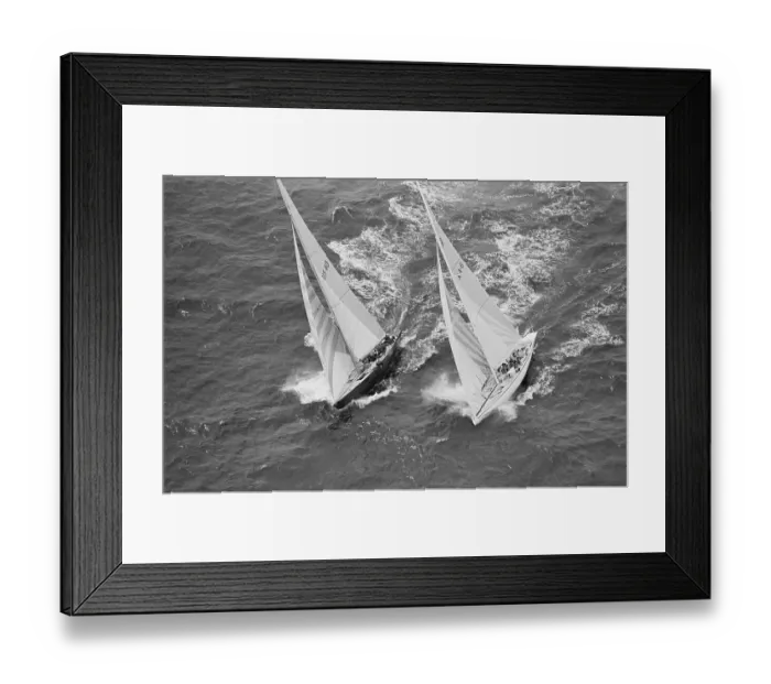 Framed Print : America's Cup Competitors Framed Print : America's Cup Competitors