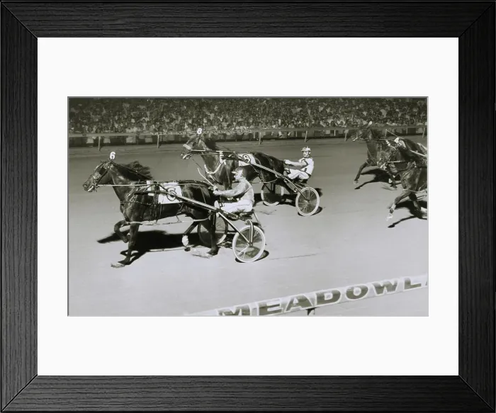 Framed Print : Meadowlands Harness Racing Framed Print : Meadowlands Harness Racing