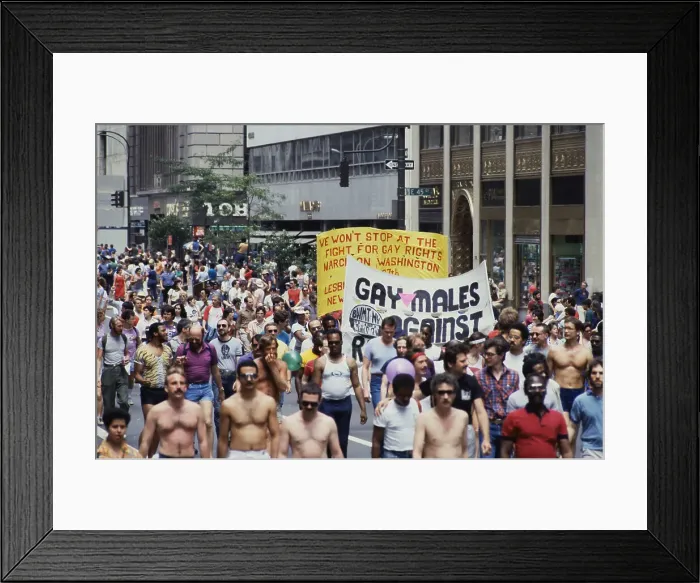 Framed Print : Gay Pride Supporters at Barricade Framed Print : Gay Pride Supporters at Barricade