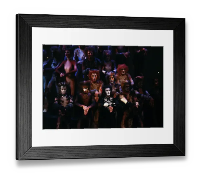 Framed Print : Cast of Cats at Awards Show