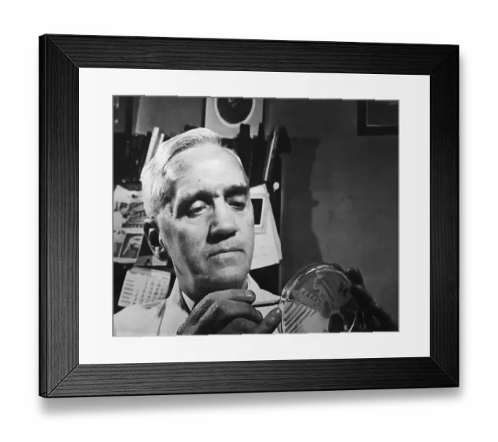 Framed Print : Sir Alexander Fleming in His Laboratory Framed Print : Sir Alexander Fleming in His Laboratory