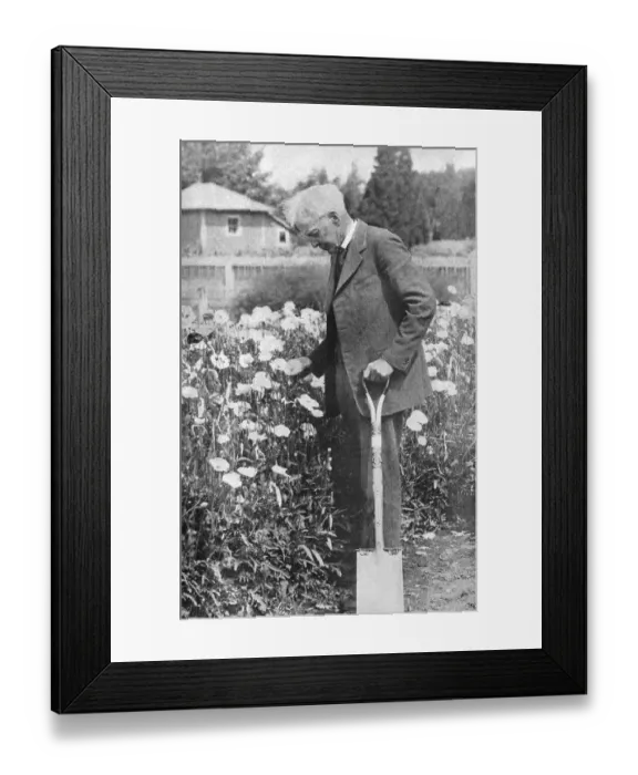 Framed Print : Luther Burbank in His Garden Framed Print : Luther Burbank in His Garden