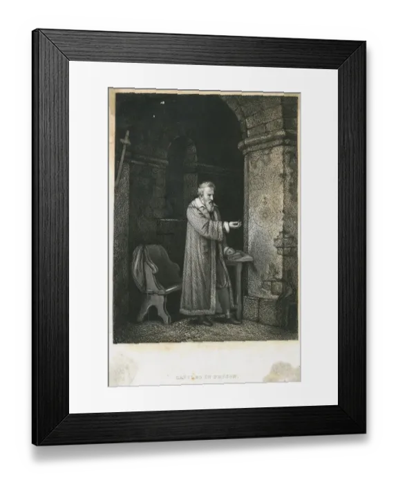 Framed Print : Galileo Studying Specimen